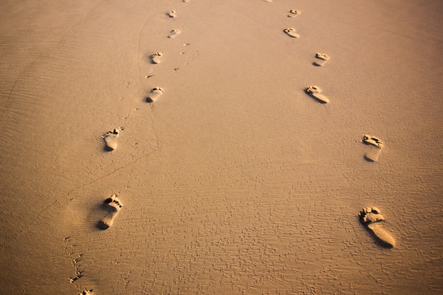 coach-and-mentor-finance-services-professionals.jpg